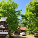 브라우니펜션 이미지