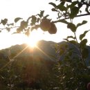 산마루농장 이미지