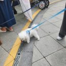 모전1-1공원 이미지