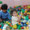 볼풀장에서 이미지