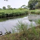 계백로(유등교-서대전네거리) 이미지