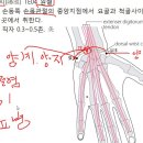 19.수소양삼초경 조회수 1만회 6년 전 이미지