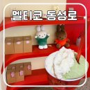 멜티코 | 대구 동성로 젤라또 맛집 내 돈 내산 | 멜티코 동성로