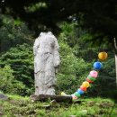 단양죽령사과 이미지