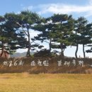 제26회 순천만 갈대축제(가을) 이미지