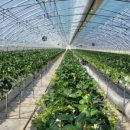 무럭이농장 이미지