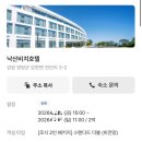 비송송 | 낙산비치호텔 숲뷰🌲 @스텐다드더블(비전망) 2박 후기