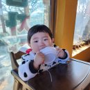 법성가든 함안감자탕 이미지