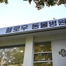 헬로우동물병원 이미지