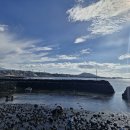 샛도리물 이미지