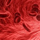 무브먼트:연 이미지