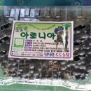 도선농장 이미지