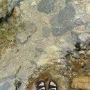 검태회관 이미지