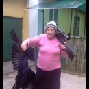 찌지고 뽁고 꿉고 이미지