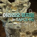 [서울] 아라리오 뮤지엄 인 스페이스, 상설전시 M2