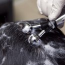 스칼프메디슨 아주대점 이미지