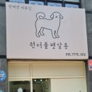 원더풀펫살롱 이미지