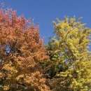 이마트24 뉴동광주점 | November,2025