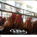 태진 농장 이미지