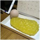 월드원짐 이미지