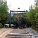 순창 메타세콰이어길 이미지