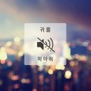 라디 이미지