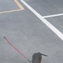 삼성청복타운아파트 이미지