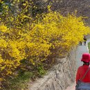 (103) 생모 이미지