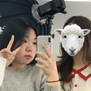 덱스터크레마 | ☔️
