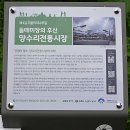 북한강횟집 | ② 북한강철교, 두물머리- ( 2025.08.14 )