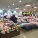 크로앙스 이미지