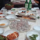 회스토아 이미지