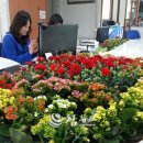 문곡소도동주민센터 이미지