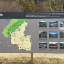 (유)삼일렌트카 이미지