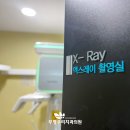 부평우리치과의원 티스토리
