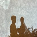 1867 | W08_대전 세러데이스냅 본식 아이폰스냅 계약 후기