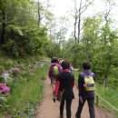 우면산5-13 이미지