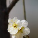 서운근린공원 이미지