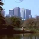 용산-이촌-434 이미지