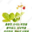 만수2동-17 이미지