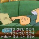 영도자샤브샤브 이미지