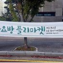 그린브라우니 이미지