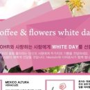 디어로사