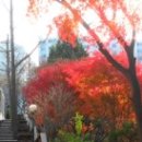 베네딕도유치원 이미지