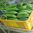 초록농부 영농조합법인 이미지