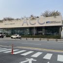 파랑새안경 이미지