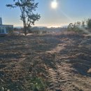 일출공인중개사사무소 이미지