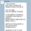대아 | 대마도 배편 후기, 씨플라워(대아고속) 이용 솔직 리뷰