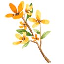 지에스25 법환포구 이미지