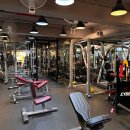 노경우 퍼스널 트레이닝 이미지